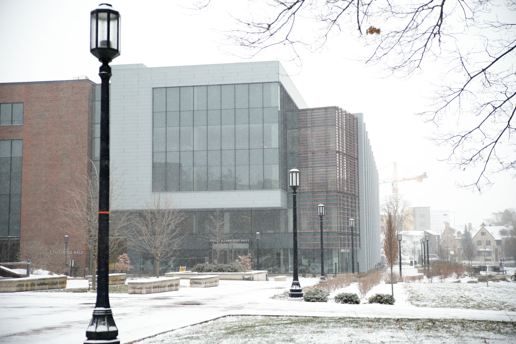 1/10/25 Snowy Dudley-Lambertus